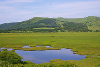 八島ヶ原湿原