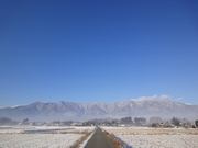 201201_f03.jpg