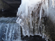 201201_f04.jpg