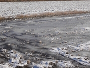 201201_f06.jpg