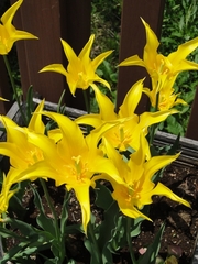 201206_T04.jpg