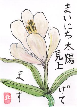 白い花