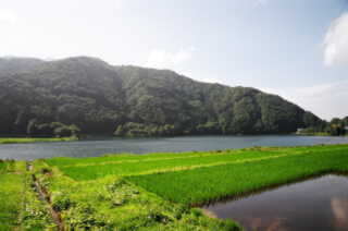 中綱湖風景