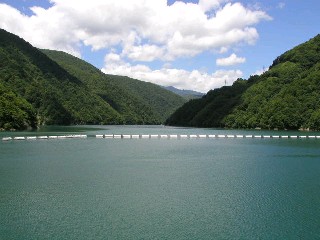 梓湖風景