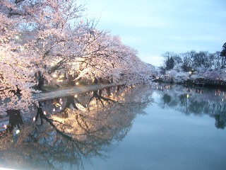 写りこみが素晴らしい