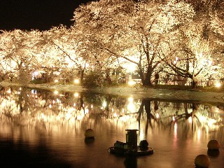 水面に映える