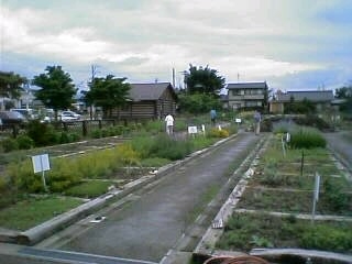 池田の風景