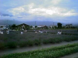 池田の風景