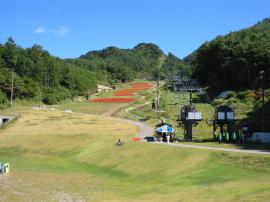 平尾山公園の風景