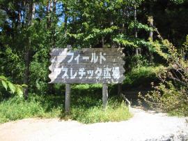 平尾山公園の風景