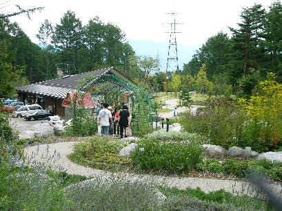 駒ヶ池 風景