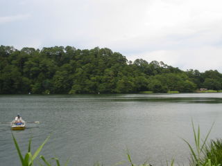 松原湖 風景