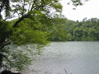 松原湖 風景
