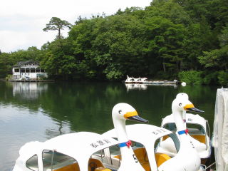 松原湖 風景