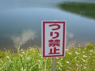 女神湖 風景