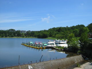 女神湖 風景