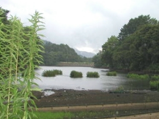 雨のみどり湖遠景