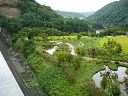 美和湖 風景