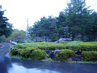 大芝公園の風景