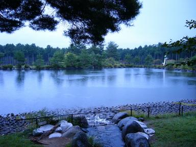 大芝公園の風景