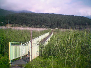 霊仙寺湖 風景