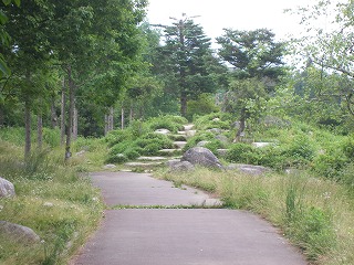 駒ケ岳SA(上り) その２