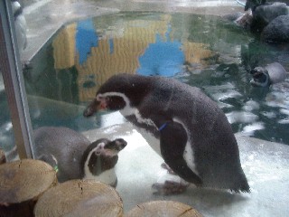 水族館