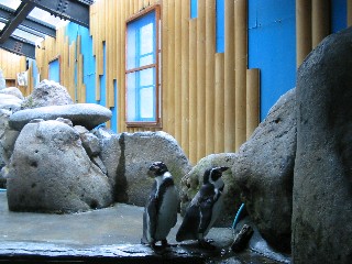 水族館