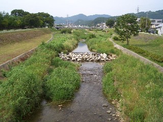 スポーツ橋板