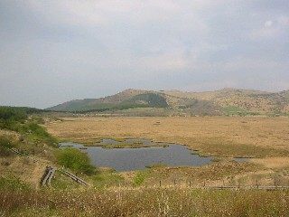 八島湿原１