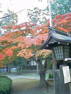 象山神社4